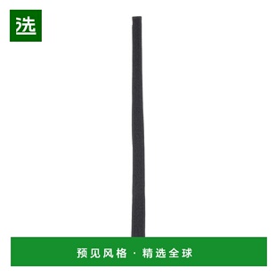 领带新款 欧洲直邮fendi 男士