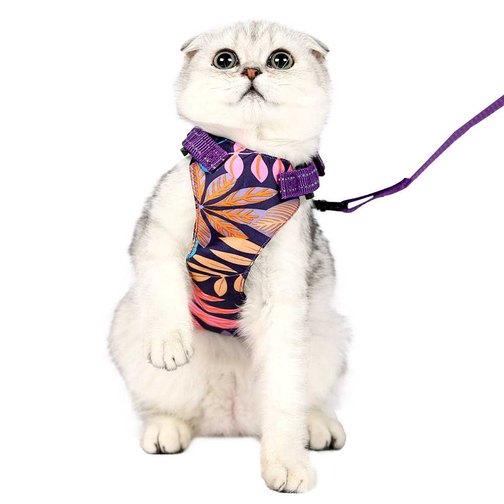 cat harness 猫咪牵引绳栓猫绳防挣脱夏威夷风猫背带牵引绳跨境款