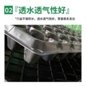 育穴西瓜盘种子辣椒茄子草莓蔬盘03托菜芽菜营苗养杯育苗盘加深加