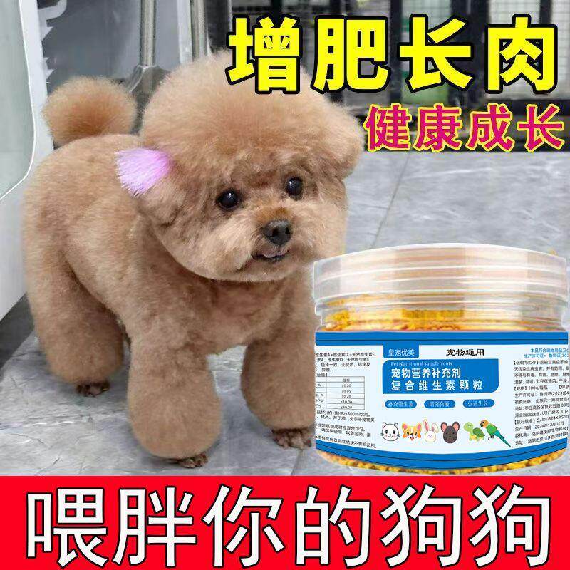 泰迪不吃饭开胃助消化狗狗厌食挑食不吃饭调理肠胃增肥长肉