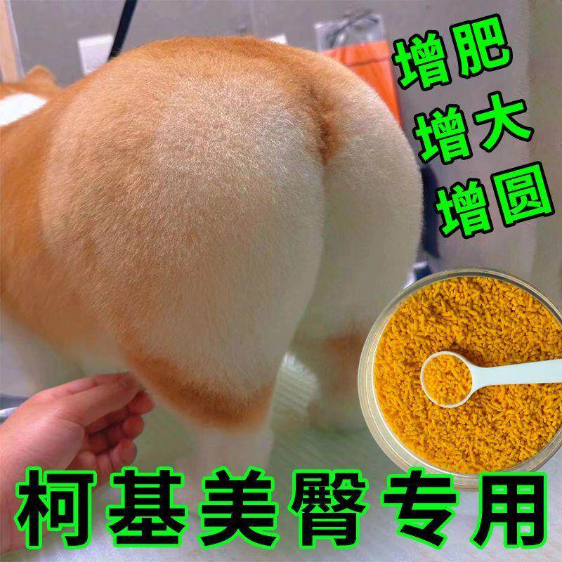 【吃出圆屁屁】柯基丰臀翘臀增肥发腮长肉单身狗粮美毛不掉毛开胃