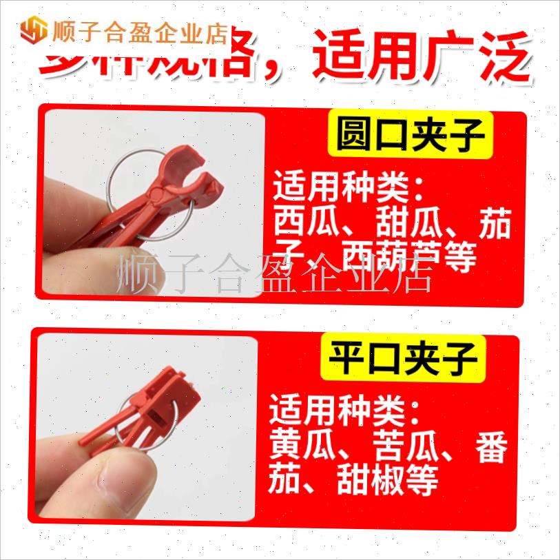 西瓜嫁接夹子工具神器专用蔬x菜西红G柿黄瓜茄子苗大号Y固定夹小.