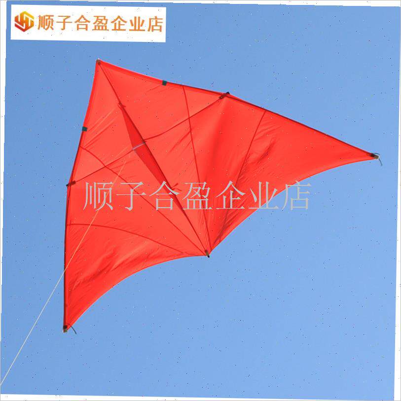 正品潍坊bc544伞布风筝三角易飞大型高档布料微风风筝小轻.