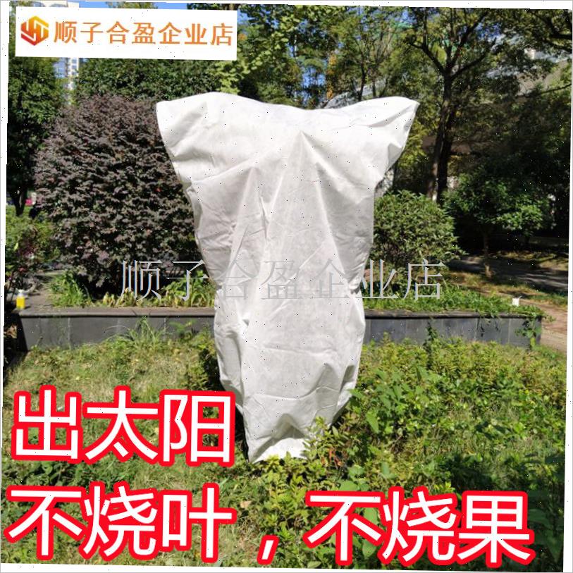 植物防寒保暖罩 绿植物保温罩 越过冬J天防冻花卉草果树木盆栽架.