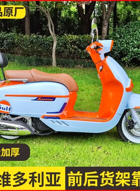 适用龙嘉维多利亚sixties300i150后尾箱架后扶手书包架前货架靠背