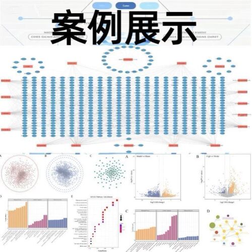 网络药TCGA孟德尔随机化GEO微生物转录组单细胞测序数据生信分析