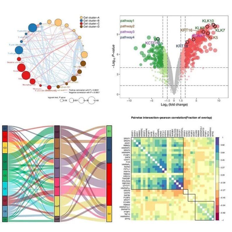 转录组测序数据分析 从原始fastq开始 包含代码与详细报告