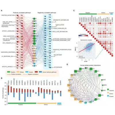 Matlab心电,脑电,近红外,磁共振数据处理统计分析结果可视化