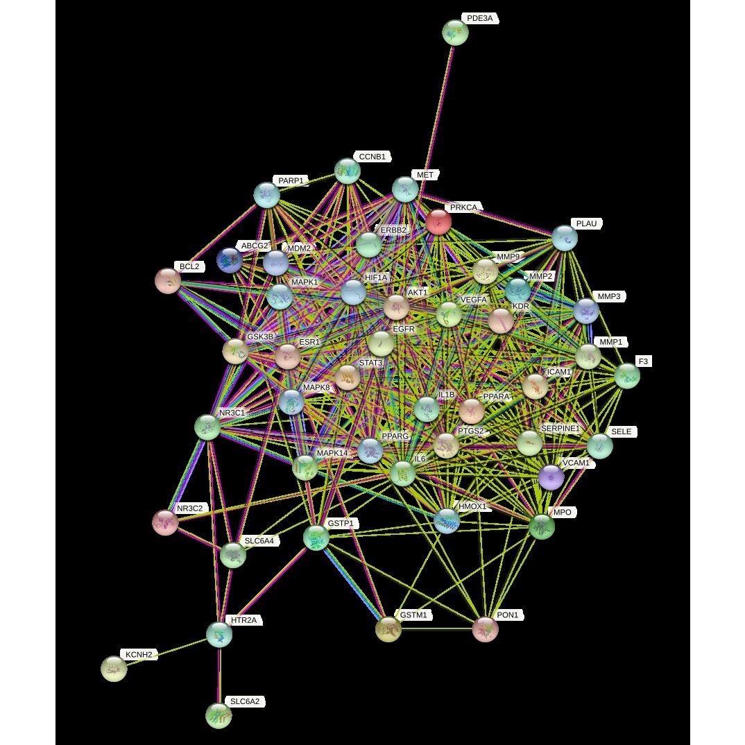 生信代谢组学数据分析代做(MetaboLights数据库PCAPLS-DAOPLS-DA)