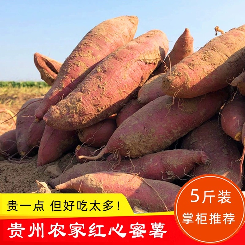 贵州特产 新鲜红薯地瓜 正宗红皮红心农家采挖沙地红蜜薯质量保障