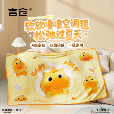 言仓水豚噜噜可爱毛毯夏季午休