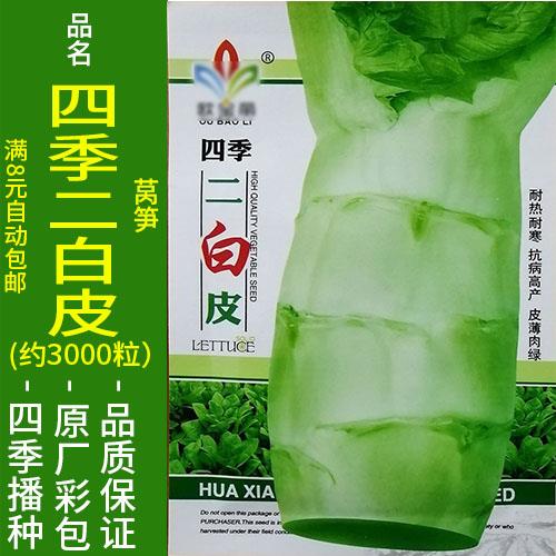 四季5g红白皮青笋二香莴笋千金菜莴...