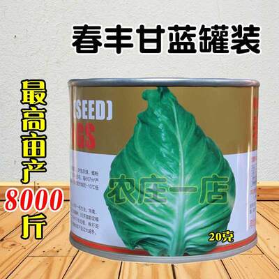 春丰种籽杂交一代甘蓝孑卷心包菜牛心甘蓝种子亩产8000斤耐寒基地