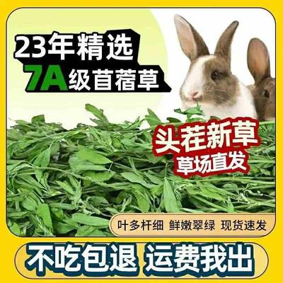 紫花苜蓿草烘干兔草幼兔龙猫荷兰猪粮兔粮草食用叶子兔子草木须草