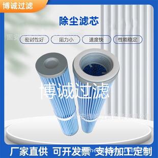 供应 内螺纹吸尘滤芯 真空上料机滤芯 蓝色覆膜锥形滤芯