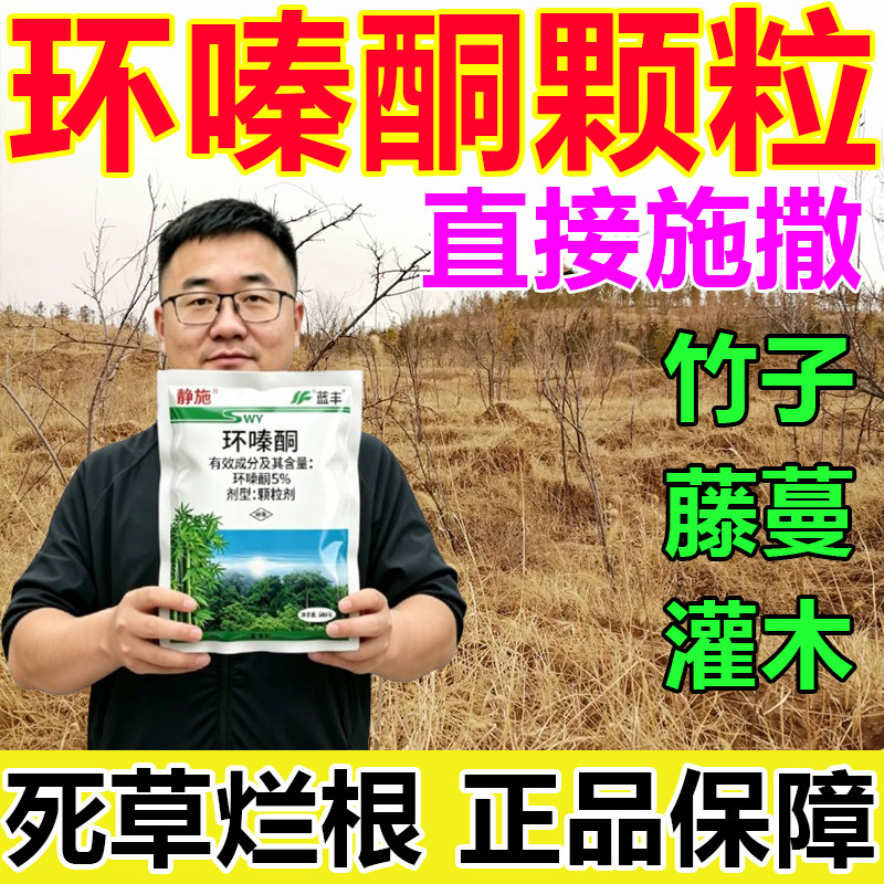 环嗪酮强力除草烂根剂除杂灌竹开荒专用灭竹藤低毒颗粒粉剂正品药