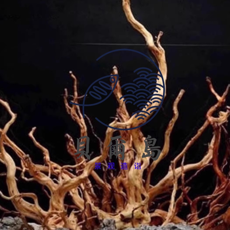 杜鹃根枝条沉木造景细龙须根树