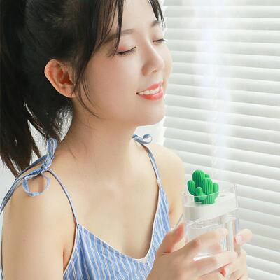 创意透明景观仙人掌加湿器 小夜灯办公室桌面香薰器礼品跨境