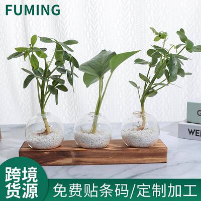 小清新水培玻璃花瓶水养绿植插花容器家庭园艺台面摆放木艺摆件