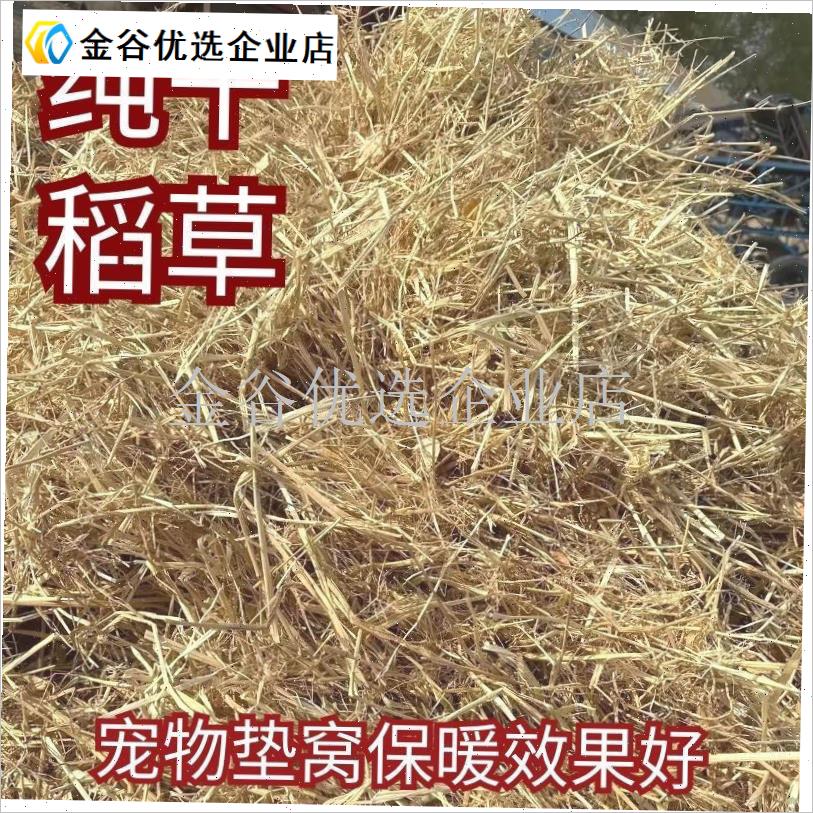 稻草垫窝保暖f干净干燥东北新稻草纤维草窝兔子床垫普通稻草保温\
