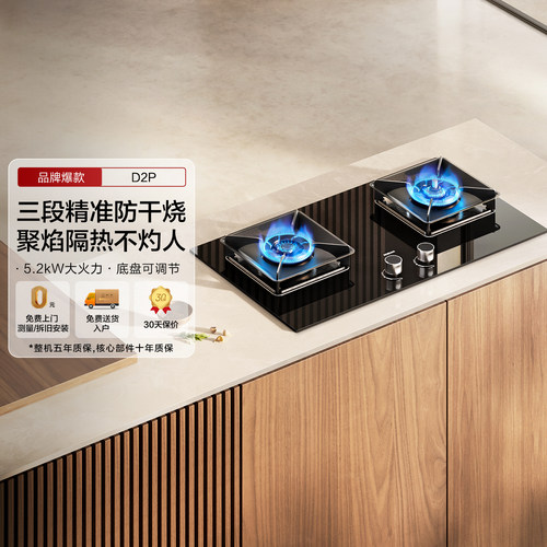烟灶联动老板D2P防干烧燃气灶家用节能煤气天然气液化气双灶定时