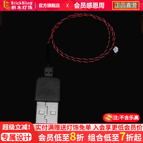 BrickBlingUSB供电接口适用