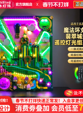 适用乐高积木灯光魔法坏女巫75685翡翠城壁艺术画灯饰配件LED改装