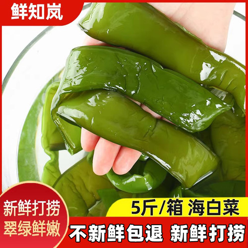 5斤新鲜海白菜盐渍裙带菜梗