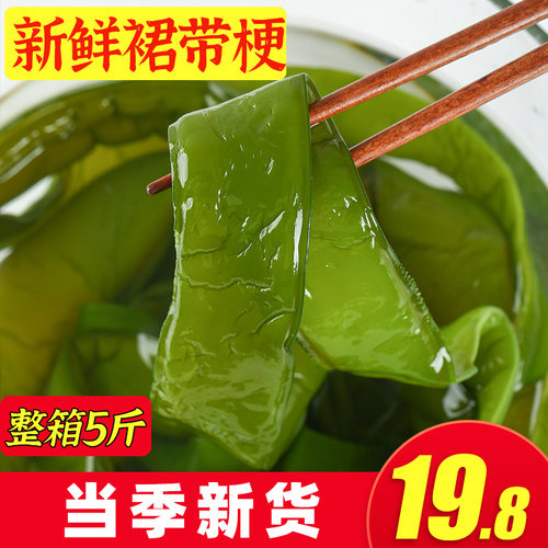 新鲜5斤盐渍裙带梗海白菜海藻海带整箱裙带菜凉拌菜非干货海菠菜