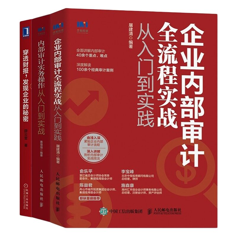审计专业入门到提升3本套:企业内部审计全流程实战从入门到实践+内部审计实务操作从入门到实战+穿透财报 发现企业的秘密