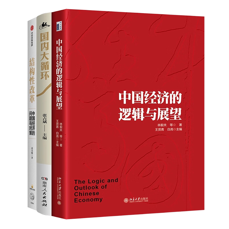 解码中国经济:逻辑、结构与未来之路3本套:中国经济的逻辑与展望+国内大循环 中国经济发展新格局+结构性改革:中国经济的问题与