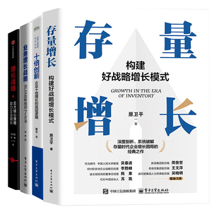 五大核心策略助力企业增长 业务增长战略 企业存量增长战略实战4册：存量增长：构建好战略增长模式 十倍创新
