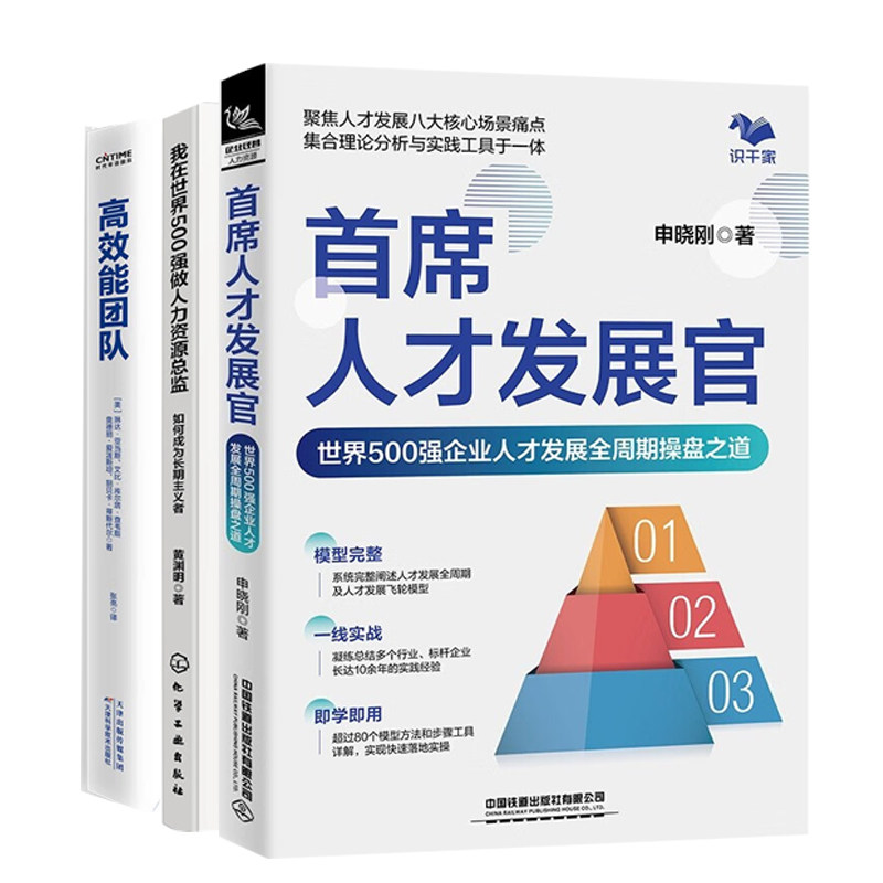 世界500强企业hr人才培养与团队建设全3本:首席人才发展官+我在世界500强做人力资源总监+高效能团队