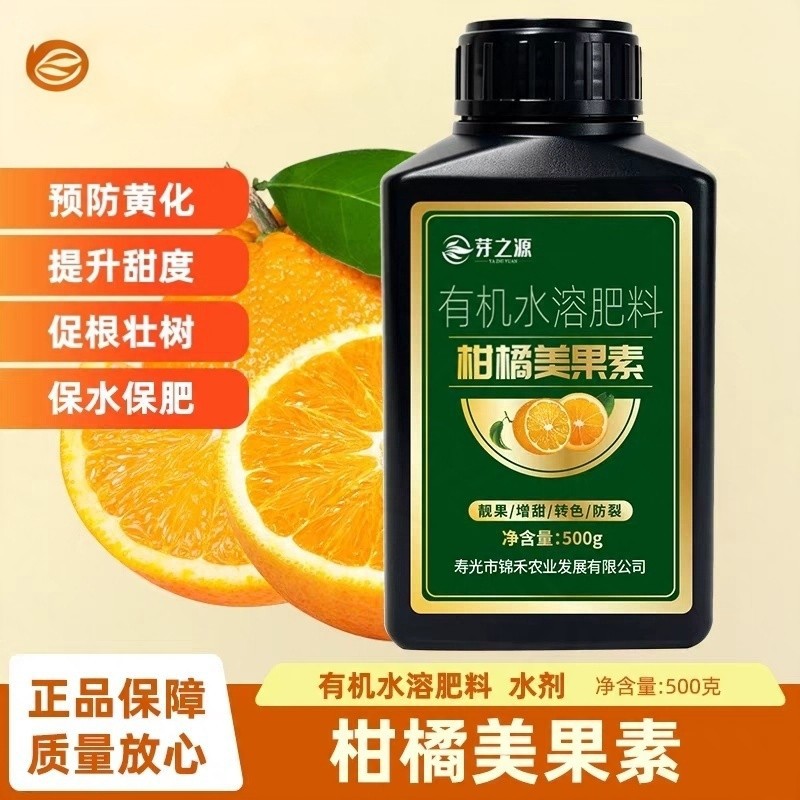 柑橘美果素砂糖树种植提