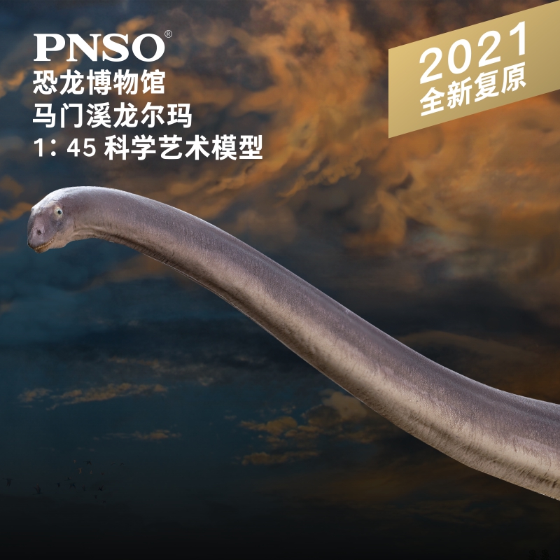 pnso恐龙博物馆科学艺术模型儿童