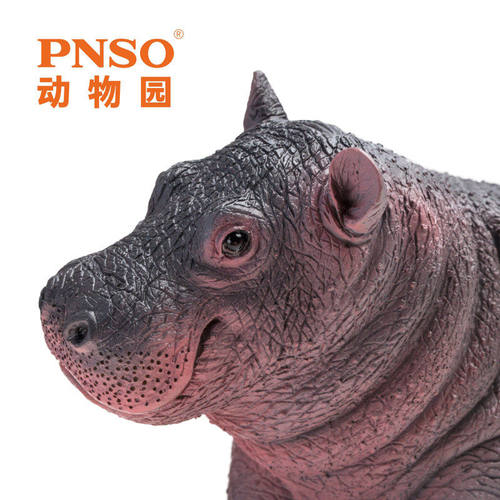圣诞礼物pnso动物园模型泡泡儿童