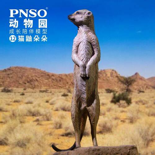 圣诞礼物pnso动物园成长陪伴模型