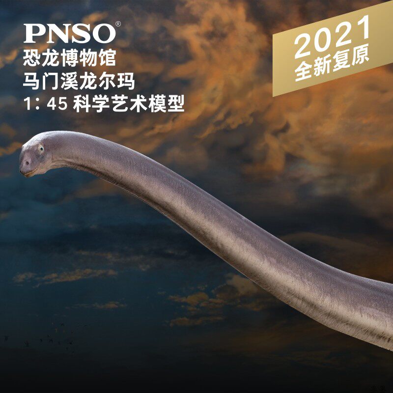 PNSO恐龙博物馆马门溪龙尔玛1:45科学艺术模型儿童益智精品手办