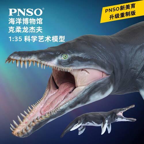 PNSO海洋博物馆克柔龙杰夫模型