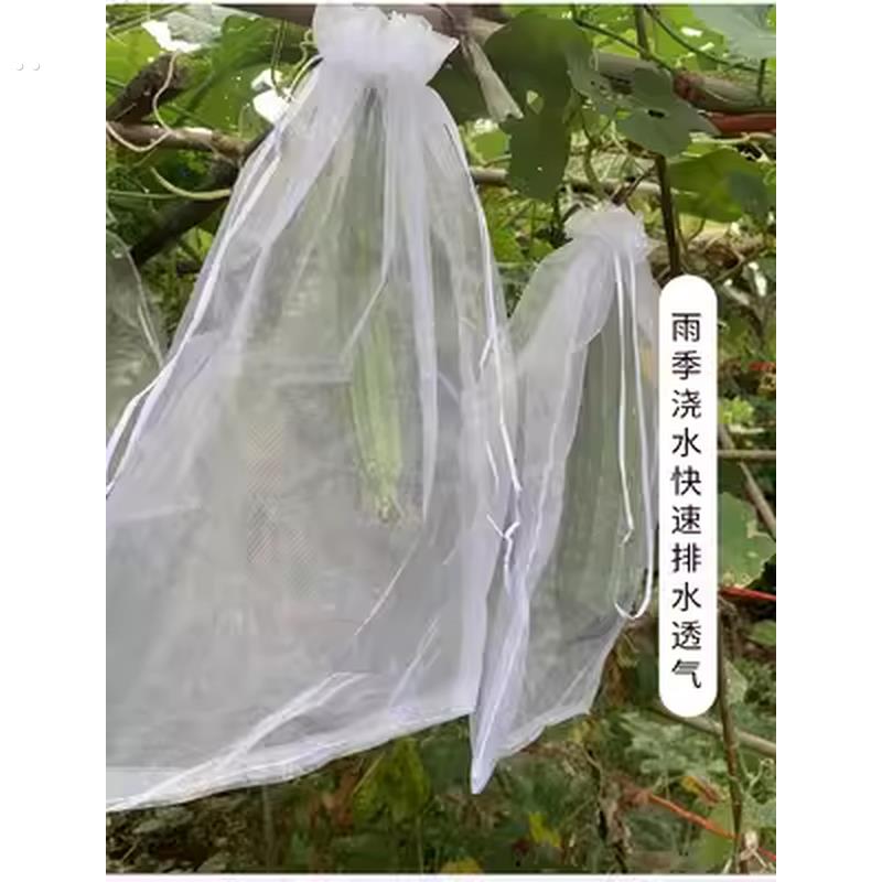 青瓜袋加密纱网袋黄瓜防虫套袋苦瓜丝瓜黄瓜果防鸟器罩透气束口袋