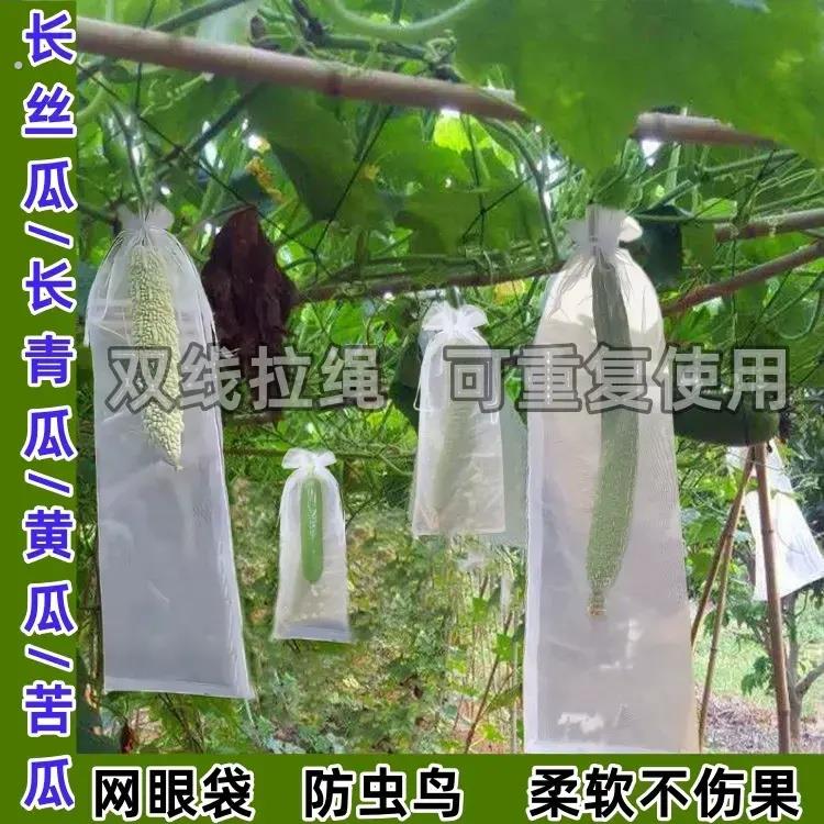 长丝瓜网眼套袋黄瓜青瓜苦瓜套袋专用袋防虫袋保护套瓜果水果瓜果