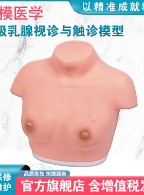 弘模HOM/F7B高级乳腺视诊触诊模型医学临床教学模型女性乳腺临床诊断和自我检查而设计