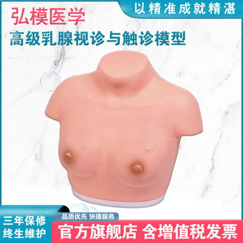 乳腺视诊触诊医学教学模型女性