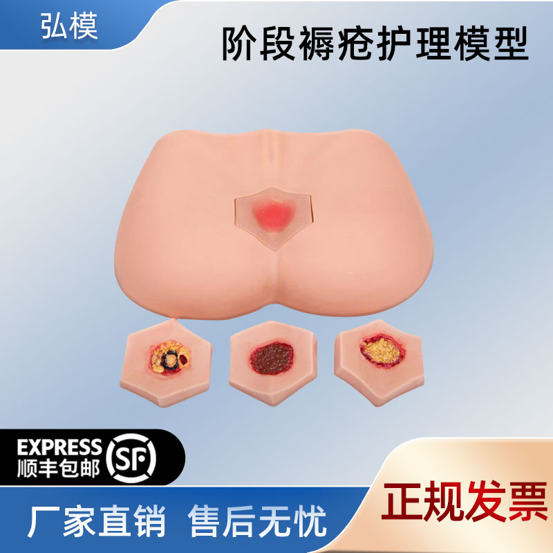 褥疮护理训练模型弘模压疮模具