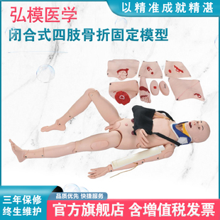 弘模闭合式 四肢骨折固定训练模型模拟人体骨折时固定搬运训练和教学人体创伤急救护理人