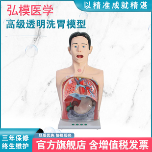 弘模HOM/A2高级透明洗胃模型灯光警示系统经口鼻洗胃器洗胃法电动吸引洗胃法胃管洗胃法洗胃机洗胃法