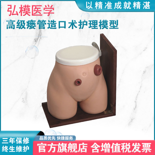 弘模HOM/38高级瘘管造口术护理模型实验室教学用品基本护理技能模具回肠造瘘口管饲练习灌肠练习
