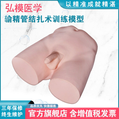 输精管结扎术模型绝育术缝合训练