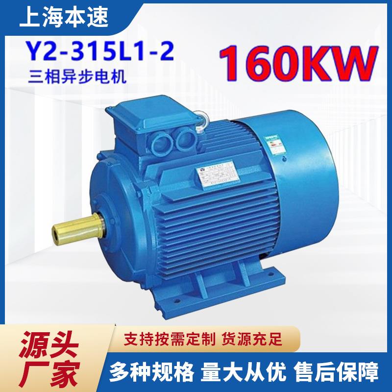 Y2系列马达三相异步电动机Y2-315L1-2160W2极三相异步电机