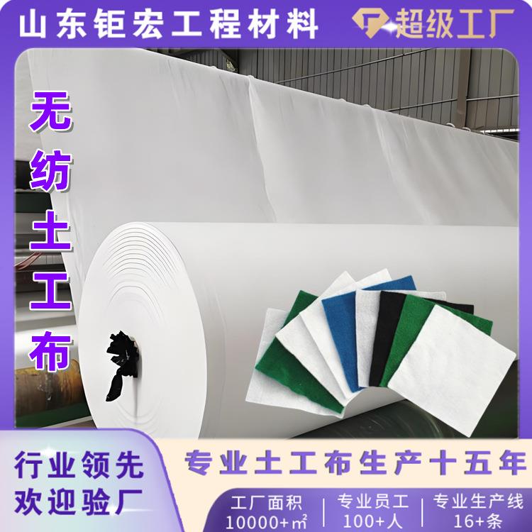 反滤土工布道路养护透水隔离防渗土工布10kn短丝土工布长丝土工布